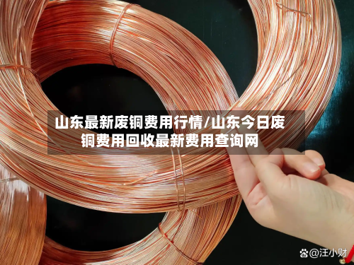 山东最新废铜费用行情/山东今日废铜费用回收最新费用查询网-第2张图片