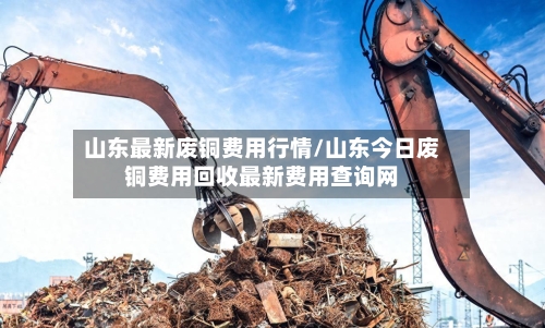 山东最新废铜费用行情/山东今日废铜费用回收最新费用查询网-第3张图片