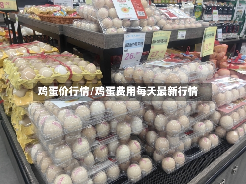 鸡蛋价行情/鸡蛋费用每天最新行情