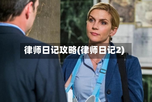 律师日记攻略(律师日记2)-第2张图片