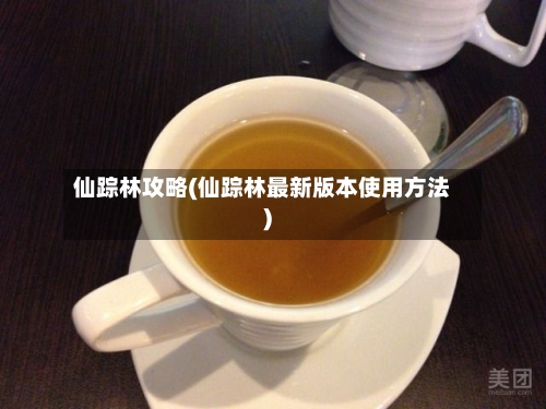 仙踪林攻略(仙踪林最新版本使用方法)-第2张图片