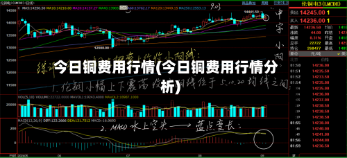 今日铜费用行情(今日铜费用行情分析)-第3张图片