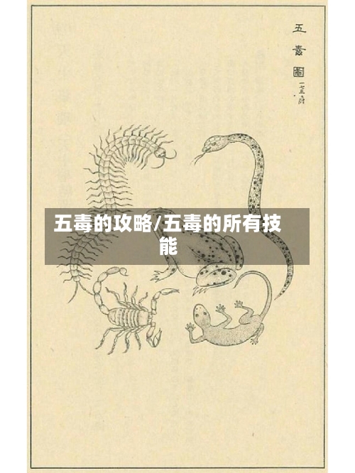 五毒的攻略/五毒的所有技能