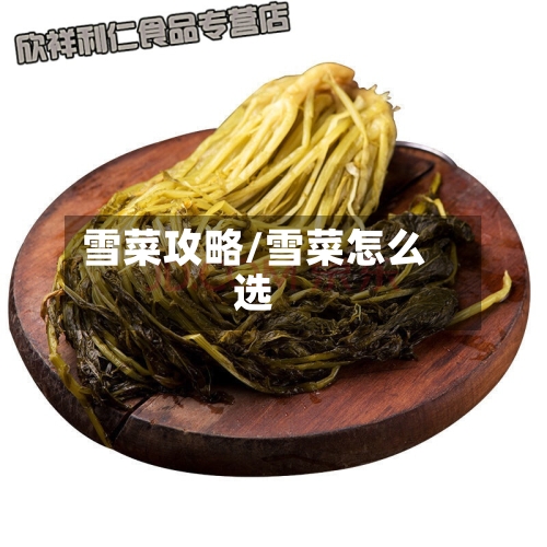 雪菜攻略/雪菜怎么选-第2张图片