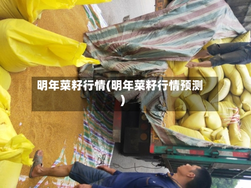 明年菜籽行情(明年菜籽行情预测)-第3张图片