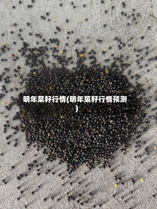 明年菜籽行情(明年菜籽行情预测)-第2张图片