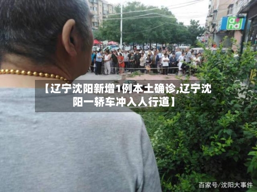 【辽宁沈阳新增1例本土确诊,辽宁沈阳一轿车冲入人行道】-第2张图片