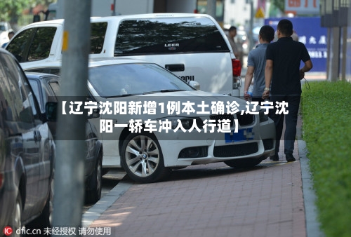 【辽宁沈阳新增1例本土确诊,辽宁沈阳一轿车冲入人行道】-第3张图片