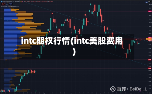 intc期权行情(intc美股费用)-第2张图片