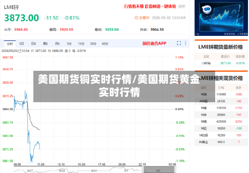 美国期货铜实时行情/美国期货黄金实时行情
