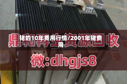 铑的10年费用行情/2001年铑费用