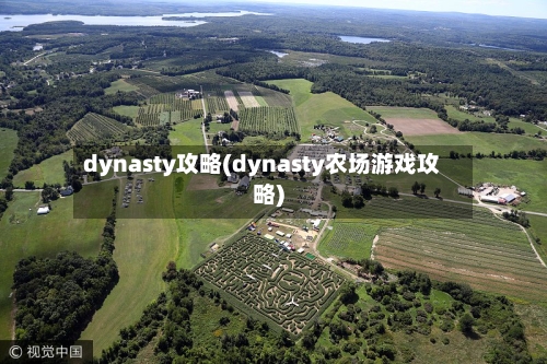 dynasty攻略(dynasty农场游戏攻略)