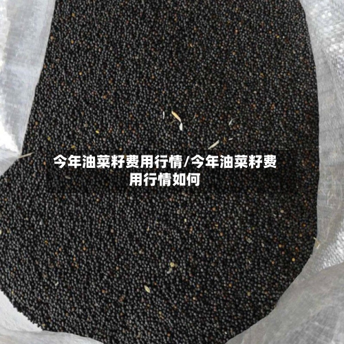 今年油菜籽费用行情/今年油菜籽费用行情如何