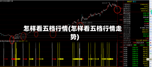 怎样看五档行情(怎样看五档行情走势)