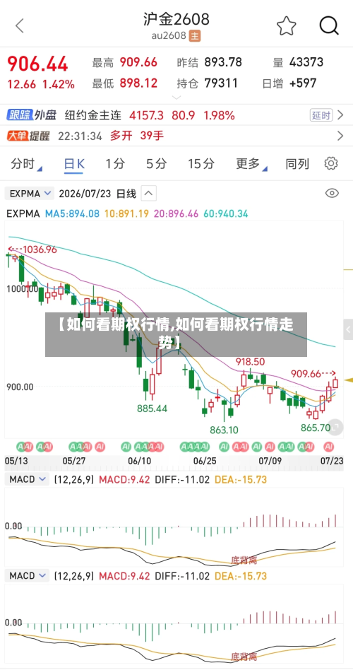 【如何看期权行情,如何看期权行情走势】