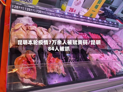 昆明本轮疫情7万余人被赋黄码/昆明84人被抓