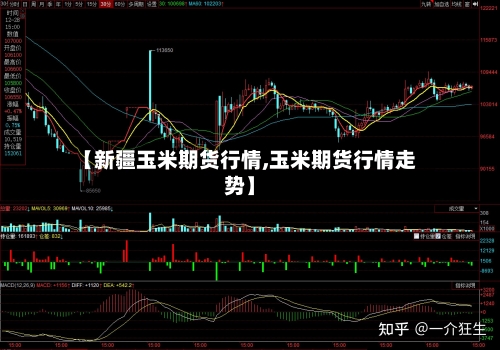 【新疆玉米期货行情,玉米期货行情走势】-第3张图片