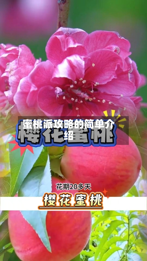 蜜桃派攻略的简单介绍