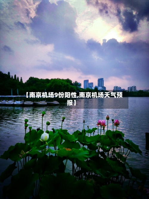 【南京机场9份阳性,南京机场天气预报】