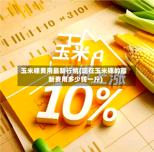玉米穗费用最新行情(现在玉米穗的最新费用多少钱一斤)-第2张图片