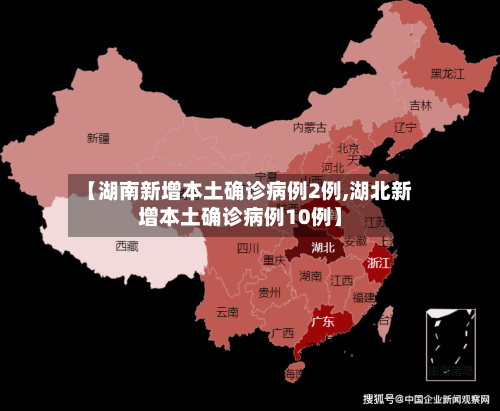 【湖南新增本土确诊病例2例,湖北新增本土确诊病例10例】-第2张图片