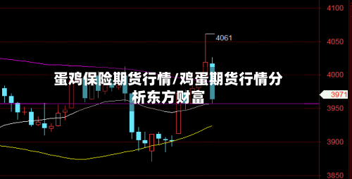 蛋鸡保险期货行情/鸡蛋期货行情分析东方财富-第2张图片