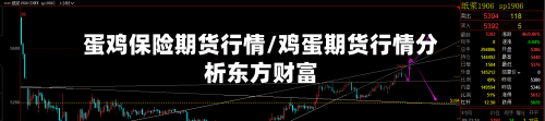 蛋鸡保险期货行情/鸡蛋期货行情分析东方财富