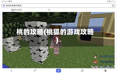桃的攻略(桃狐的游戏攻略)