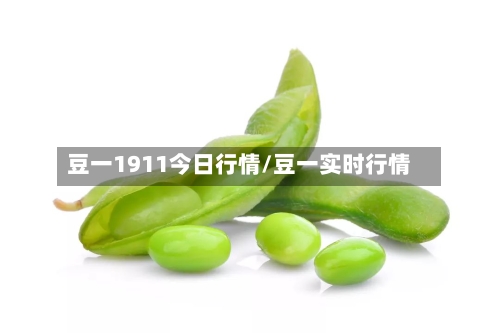 豆一1911今日行情/豆一实时行情-第3张图片