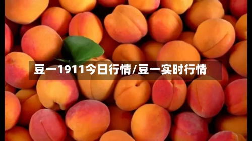 豆一1911今日行情/豆一实时行情