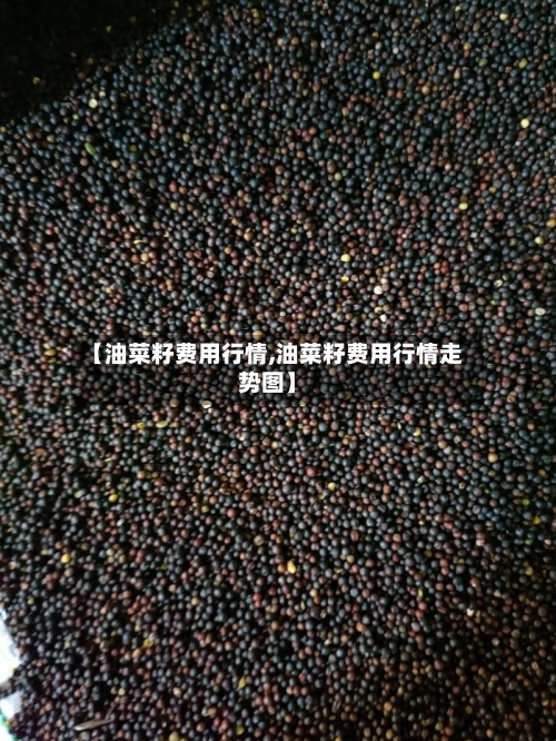 【油菜籽费用行情,油菜籽费用行情走势图】