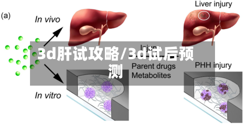 3d肝试攻略/3d试后预测