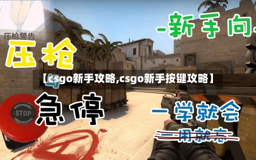【csgo新手攻略,csgo新手按键攻略】-第2张图片
