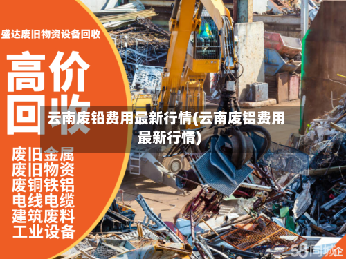 云南废铅费用最新行情(云南废铝费用最新行情)-第2张图片