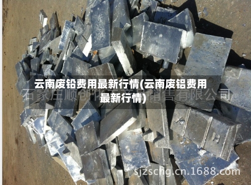 云南废铅费用最新行情(云南废铝费用最新行情)-第3张图片