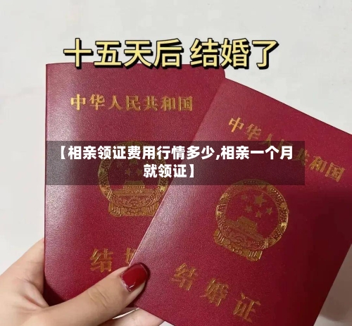 【相亲领证费用行情多少,相亲一个月就领证】