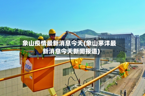 象山疫情最新消息今天(象山茅洋最新消息今天新闻报道)-第2张图片