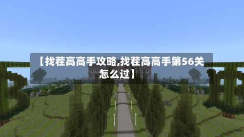 【找茬高高手攻略,找茬高高手第56关怎么过】