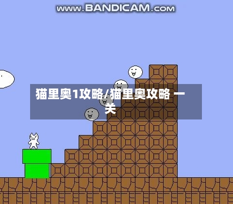 猫里奥1攻略/猫里奥攻略 一关