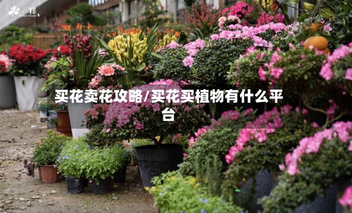 买花卖花攻略/买花买植物有什么平台