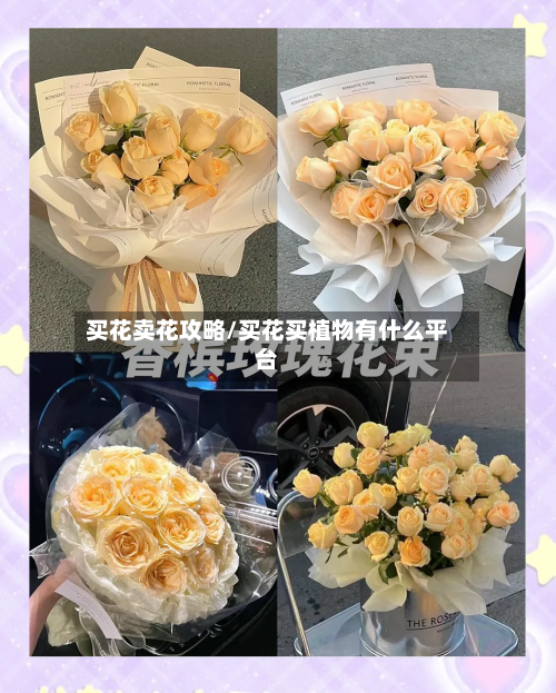 买花卖花攻略/买花买植物有什么平台-第2张图片