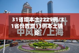 31省增本土2229例/31省份昨增13例本土确诊-第2张图片