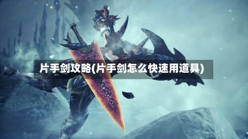 片手剑攻略(片手剑怎么快速用道具)-第2张图片