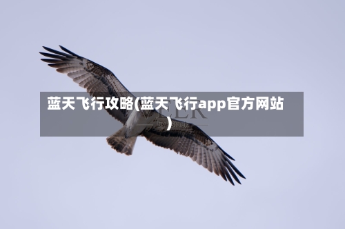 蓝天飞行攻略(蓝天飞行app官方网站)-第2张图片