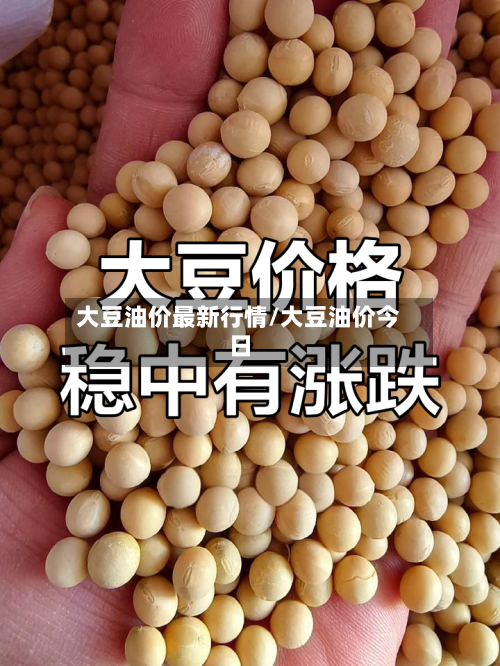 大豆油价最新行情/大豆油价今日