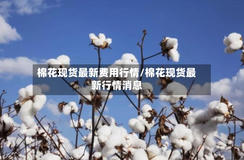 棉花现货最新费用行情/棉花现货最新行情消息