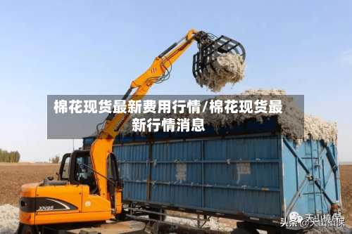 棉花现货最新费用行情/棉花现货最新行情消息-第3张图片