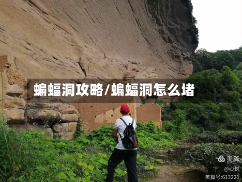 蝙蝠洞攻略/蝙蝠洞怎么堵