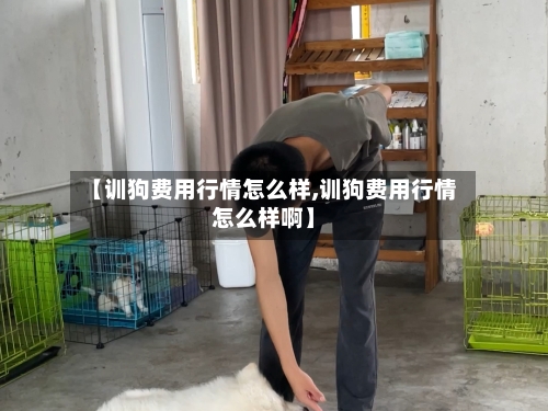 【训狗费用行情怎么样,训狗费用行情怎么样啊】