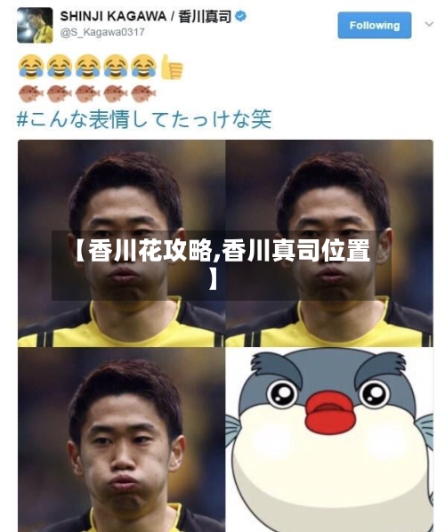 【香川花攻略,香川真司位置】-第2张图片